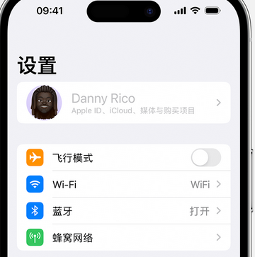 湟源appleID维修服务iPhone设置中Apple ID显示为灰色无法使用 