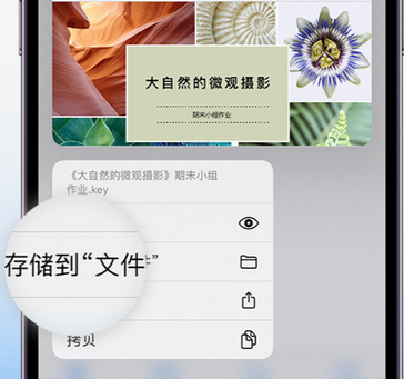 湟源apple维修中心分享iPhone文件应用中存储和找到下载文件