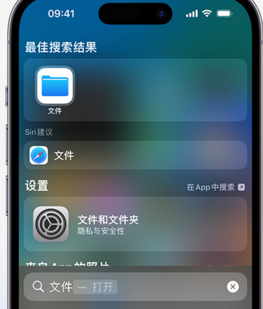 湟源apple维修中心分享iPhone文件应用中存储和找到下载文件 