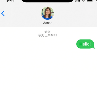 湟源apple维修iPhone上无法正常发送iMessage信息