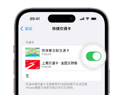 湟源apple维修点分享iPhone上更换Apple Pay快捷交通卡手绘卡面 