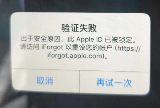 湟源iPhone维修分享iPhone上正常登录或使用AppleID怎么办 