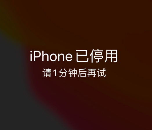 湟源苹果手机维修分享:iPhone 显示“不可用”或“已停用”怎么办？还能保留数据吗？ 