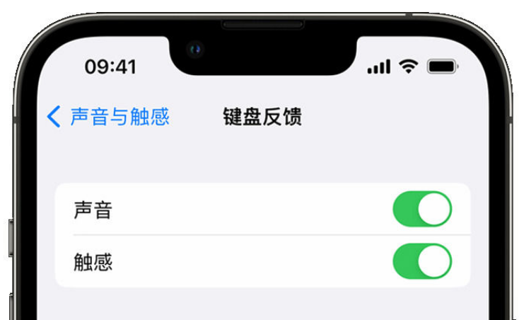 湟源苹果手机维修分享iPhone 14触感键盘使用方法 