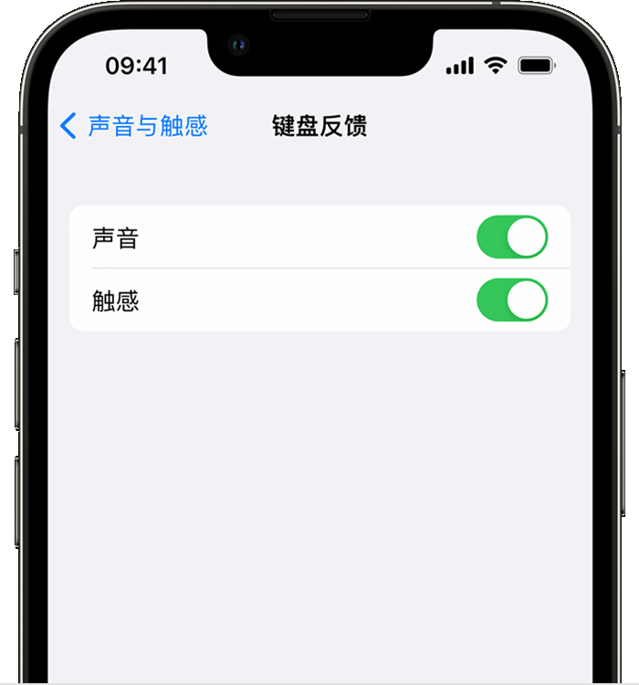 湟源苹果14维修店分享如何在 iPhone 14 机型中使用触感键盘 