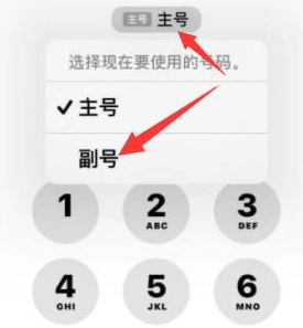 湟源苹果14维修店分享iPhone 14 Pro Max使用副卡打电话的方法 