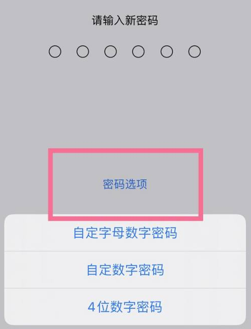 湟源苹果14维修分享iPhone 14plus设置密码的方法 