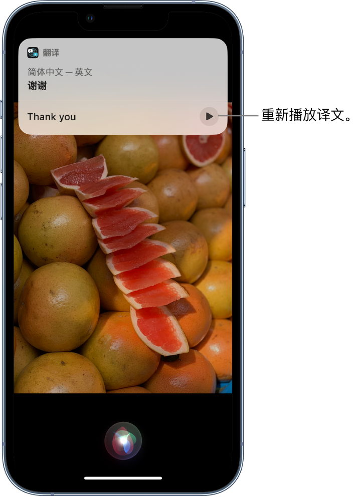 湟源苹果14维修分享 iPhone 14 机型中使用 Siri：了解 Siri 能帮你做什么 