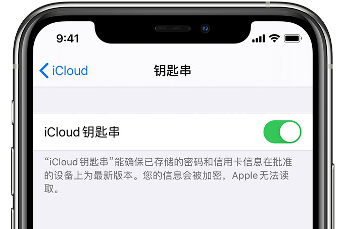 湟源苹果手机维修分享在 iPhone 上开启 iCloud 钥匙串之后会储存哪些信息 